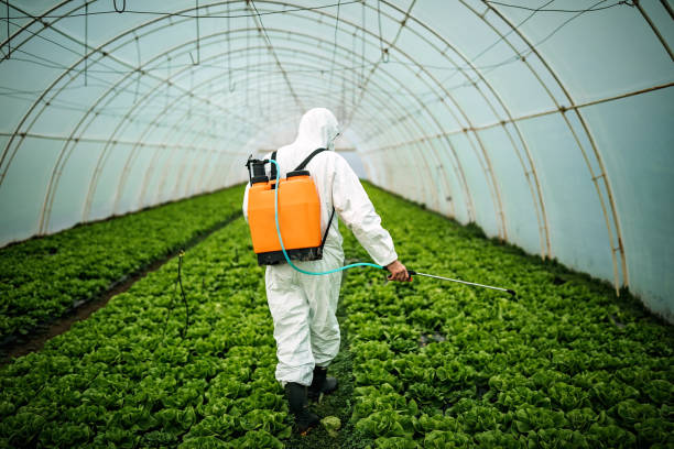 Pest Prevention Services in Kenova, WV